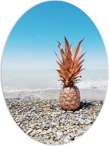 PVC Schuimplaat Ovaal - Ananas op Kiezelstenen - 60x80 cm Foto op Ovaal (Met Ophangsysteem)