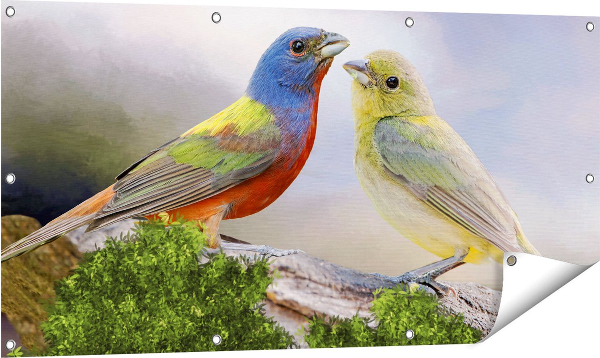 Gards Tuinposter Getekende Gorzen Vogels - Kleur - Abstract - 120x60 cm - Tuindoek - Tuindecoratie - Wanddecoratie buiten - Tuinschilderij Multikleur