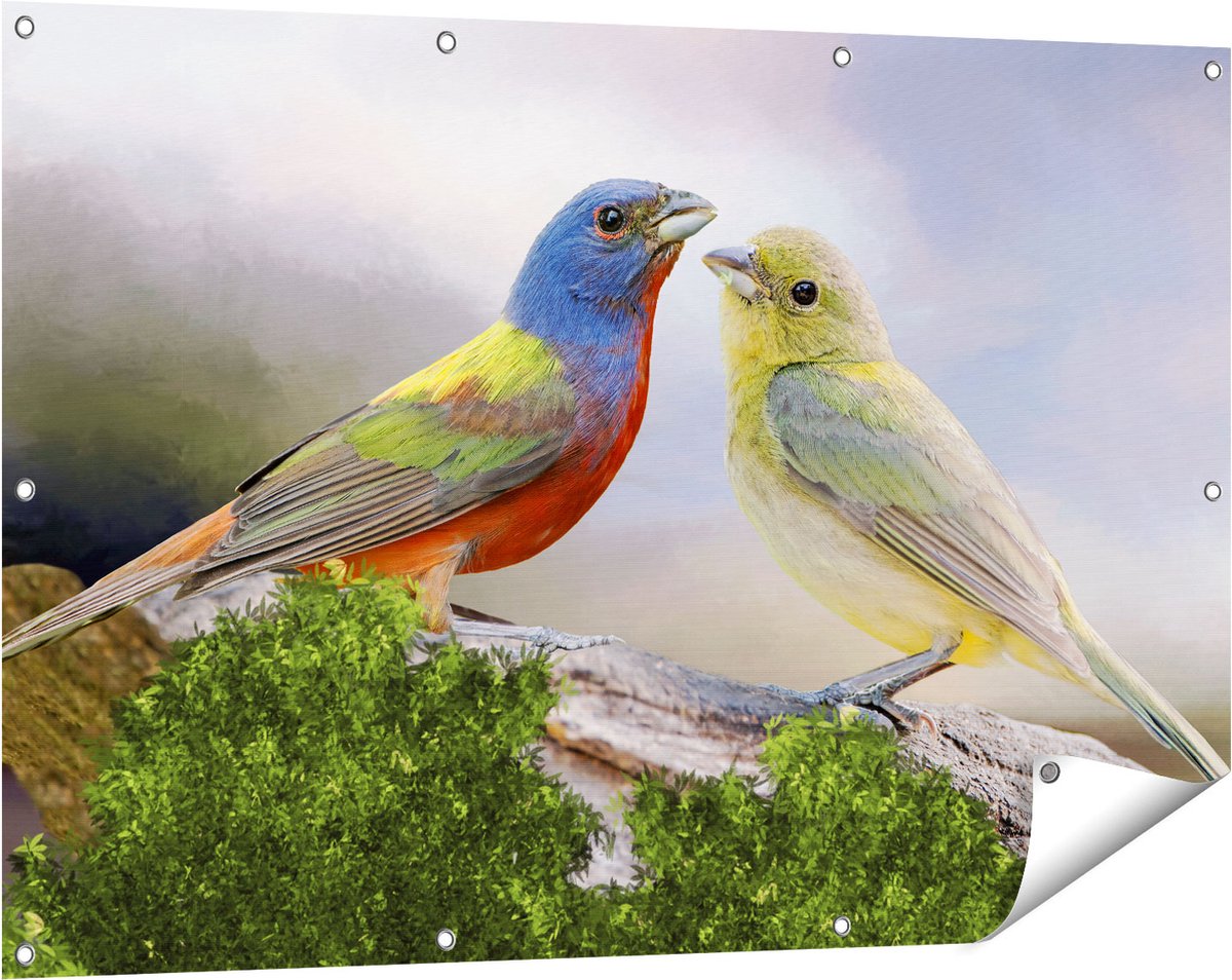 Gards Tuinposter Getekende Gorzen Vogels - Kleur - Abstract - 120x80 cm - Tuindoek - Tuindecoratie - Wanddecoratie buiten - Tuinschilderij Multikleur