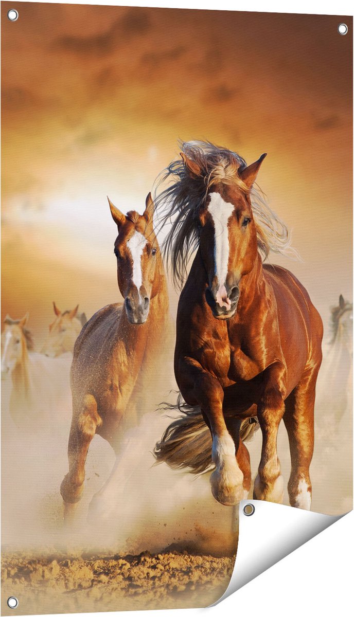 Gards Tuinposter Wilde Paarden in het Zand - 60x90 cm - Tuindoek - Tuindecoratie - Wanddecoratie buiten - Tuinschilderij Multikleur