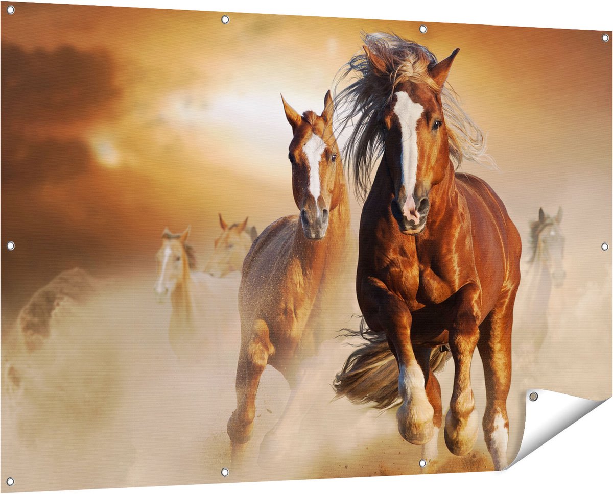 Gards Tuinposter Wilde Paarden in het Zand - 150x100 cm - Tuindoek - Tuindecoratie - Wanddecoratie buiten - Tuinschilderij Multikleur