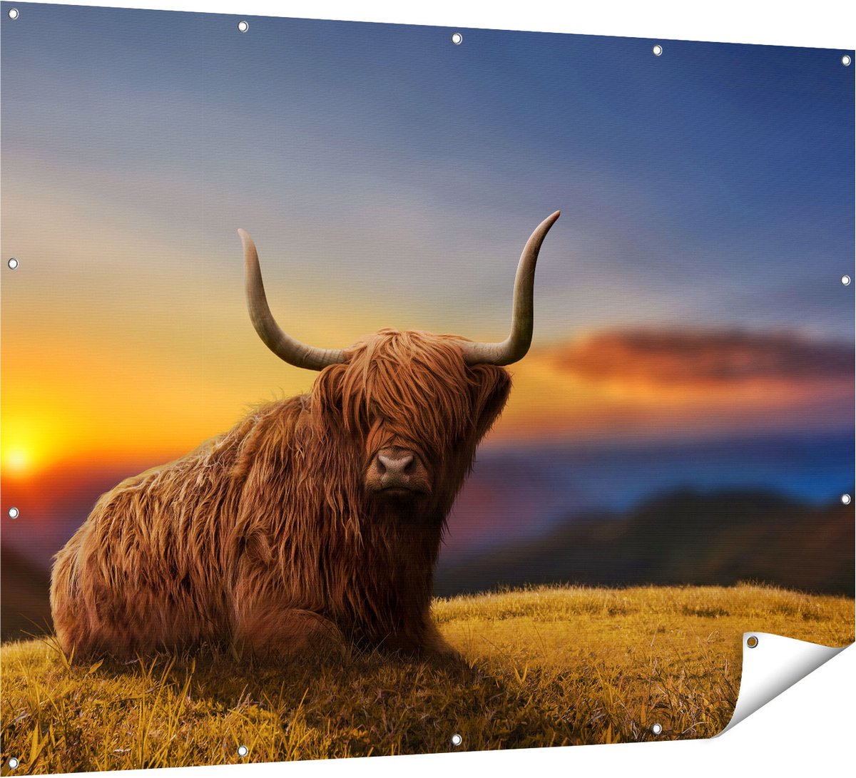 Gards Tuinposter Schotse Hooglander Koe op een Heuvel - 160x120 cm - Tuindoek - Tuindecoratie - Wanddecoratie buiten - Tuinschilderij Multikleur