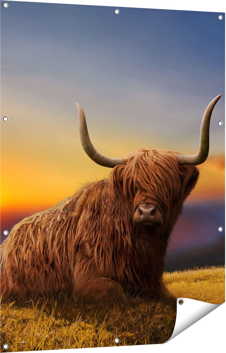 Gards Tuinposter Schotse Hooglander Koe op een Heuvel - 90x120 cm - Tuindoek - Tuindecoratie - Wanddecoratie buiten - Tuinschilderij Multikleur