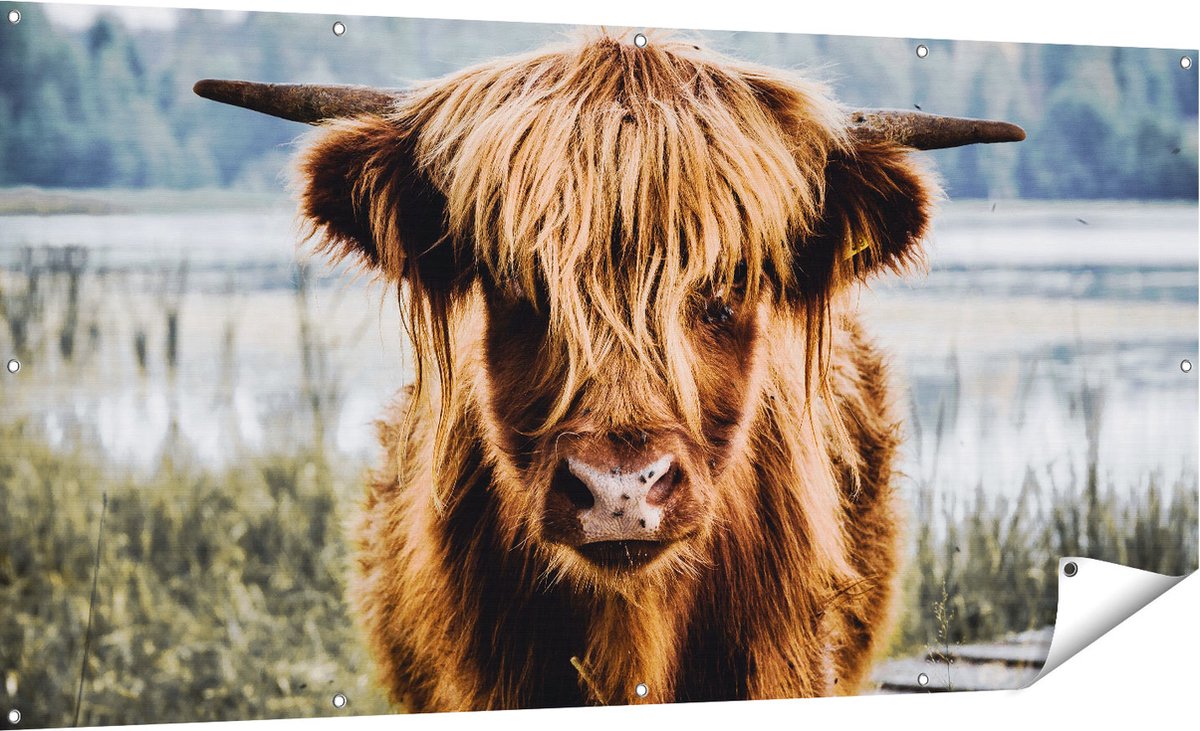 Gards Tuinposter Schotse Hooglander Koeienkop bij een Meer - 180x90 cm - Tuindoek - Tuindecoratie - Wanddecoratie buiten - Tuinschilderij Multikleur