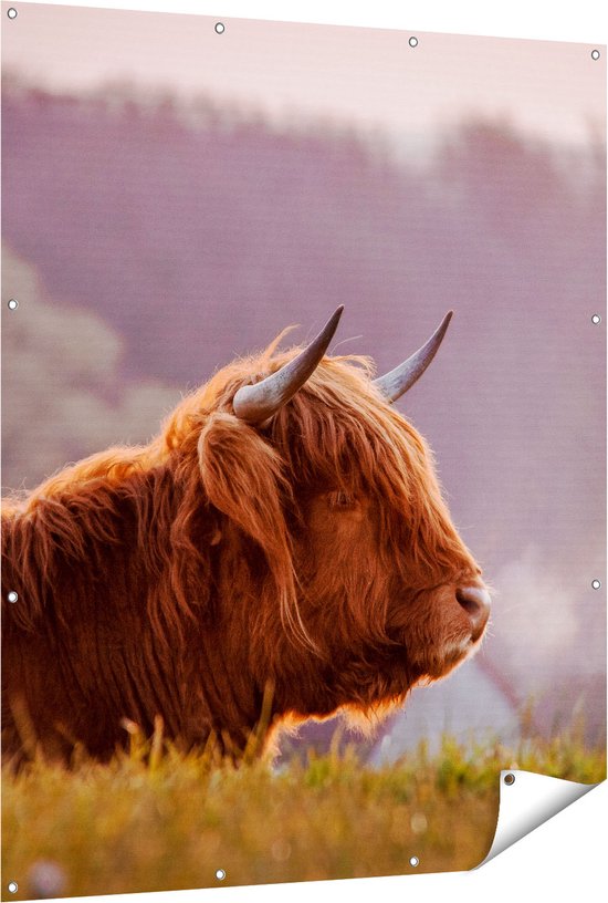 Fotobehang Schotse hooglander met kalf (op maat