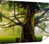Gards Tuinposter Grote Levensboom met Veel Takken - 160x120 cm - Tuindoek - Tuindecoratie - Wanddecoratie buiten - Tuinschilderij