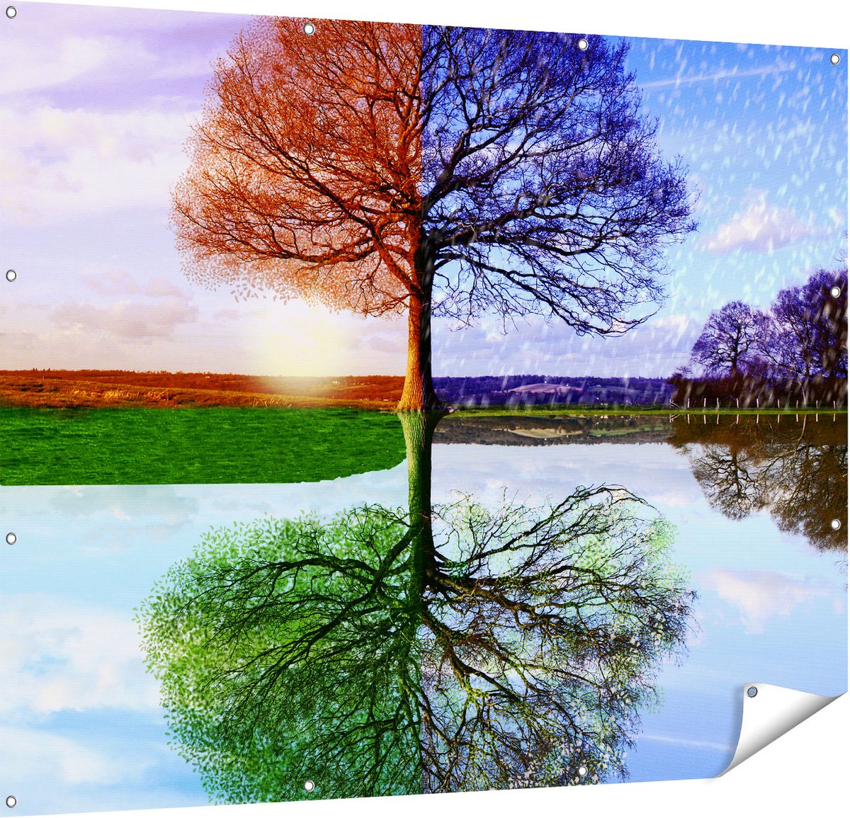 Gards Tuinposter Vier Seizoenen Boom - 150x120 cm - Tuindoek - Tuindecoratie - Wanddecoratie buiten - Tuinschilderij Multikleur