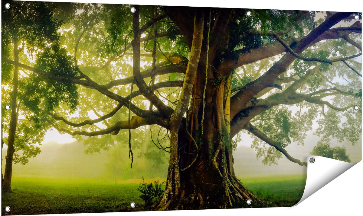 Gards Tuinposter Grote Levensboom met Veel Takken - 140x70 cm - Tuindoek - Tuindecoratie - Wanddecoratie buiten - Tuinschilderij Multikleur