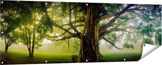 Gards Tuinposter Grote Levensboom met Veel Takken - 180x60 cm - Tuindoek - Tuindecoratie - Wanddecoratie buiten - Tuinschilderij