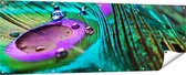 Gards Tuinposter Kleurrijke Pauw Veer met Waterdruppels - 180x60 cm - Tuindoek - Tuindecoratie - Wanddecoratie buiten - Tuinschilderij