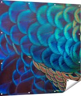 Gards Tuinposter Kleurrijke Pauw Veren van Dichtbij - 110x110 cm - Tuindoek - Tuindecoratie - Wanddecoratie buiten - Tuinschilderij