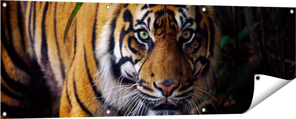Gards Tuinposter Tijger in de Jungle - 150x50 cm - Tuindoek - Tuindecoratie - Wanddecoratie buiten - Tuinschilderij Multikleur