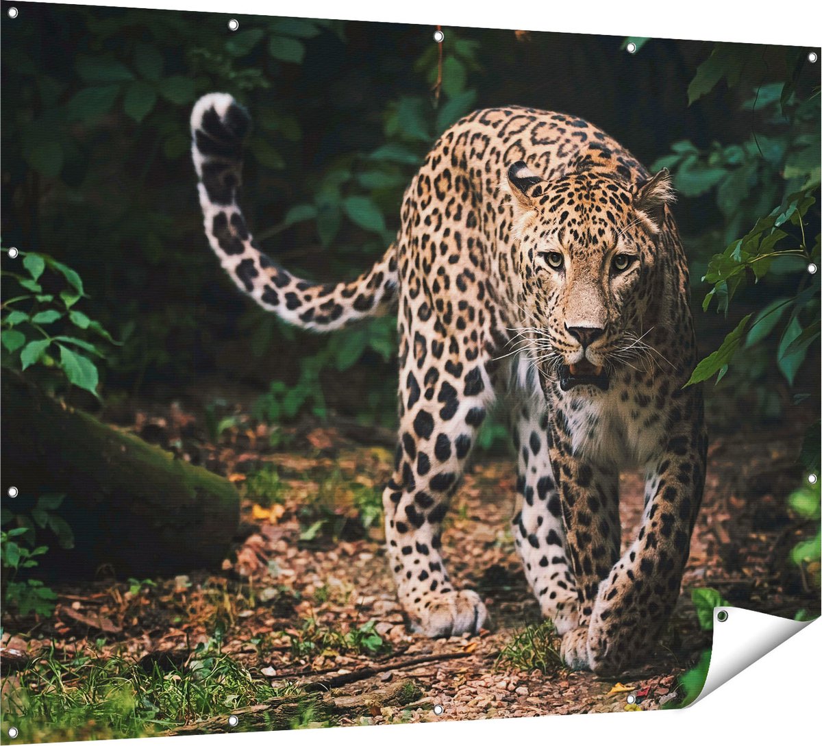 Gards Tuinposter Luipaard in het Bos - 160x120 cm - Tuindoek - Tuindecoratie - Wanddecoratie buiten - Tuinschilderij Multikleur