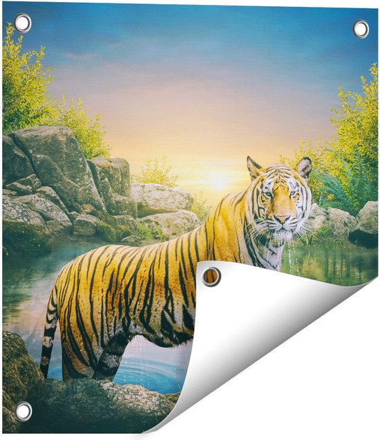 Gards Tuinposter Luipaard in een Vijver bij Zonsondergang - 40x40 cm - Tuindoek - Tuindecoratie - Wanddecoratie buiten - Tuinschilderij