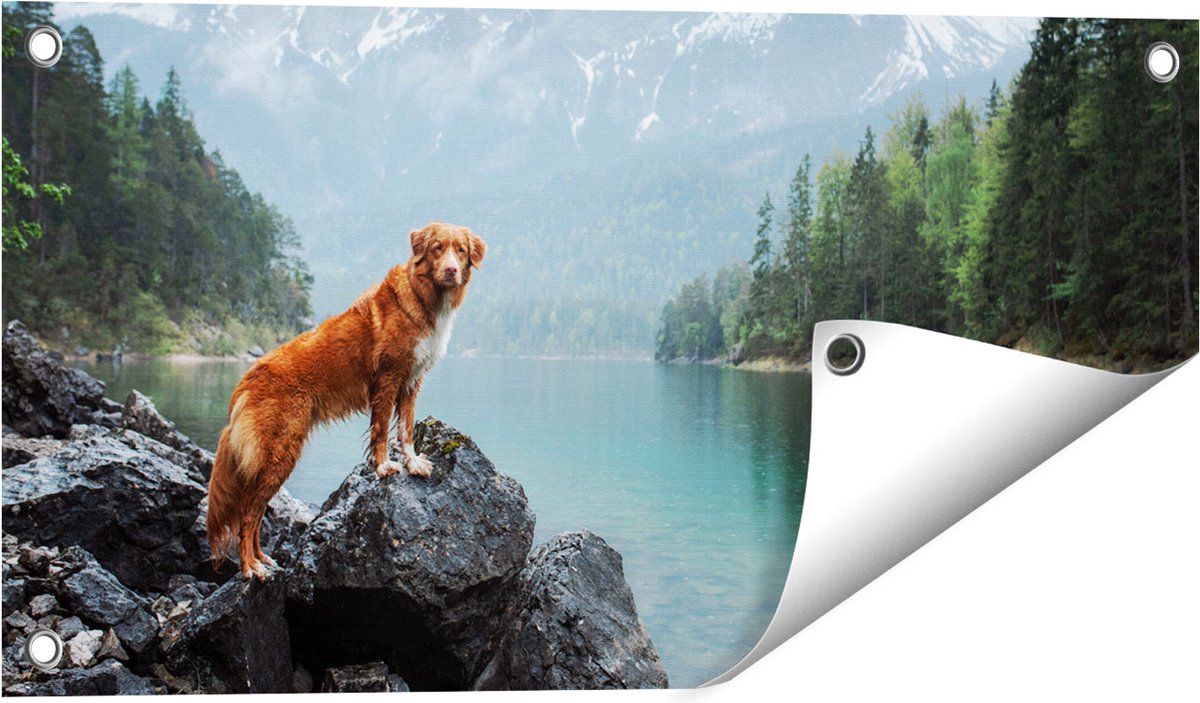 Gards Tuinposter Retriever Hond bij het Water in de Bergen - 60x30 cm - Tuindoek - Tuindecoratie - Wanddecoratie buiten - Tuinschilderij Multikleur