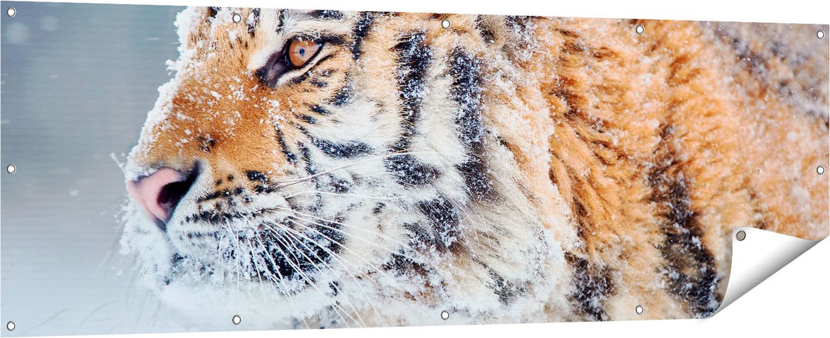 Gards Tuinposter Tijger tijdens de Sneeuw - 180x60 cm - Tuindoek - Tuindecoratie - Wanddecoratie buiten - Tuinschilderij Multikleur