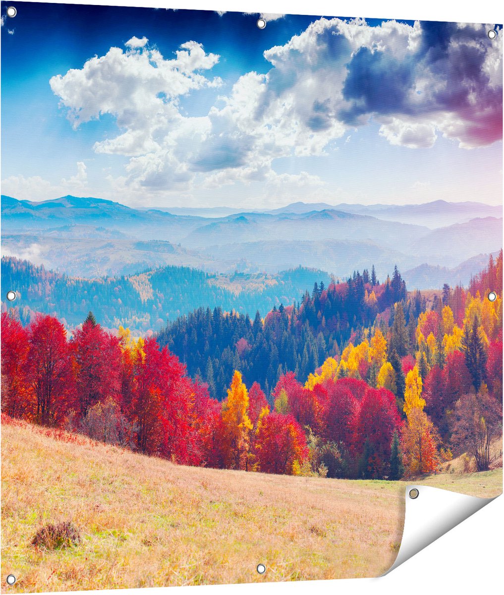 Gards Tuinposter Kleurrijke Herfstbos met Heuvellandschap - 100x100 cm - Tuindoek - Tuindecoratie - Wanddecoratie buiten - Tuinschilderij Multikleur