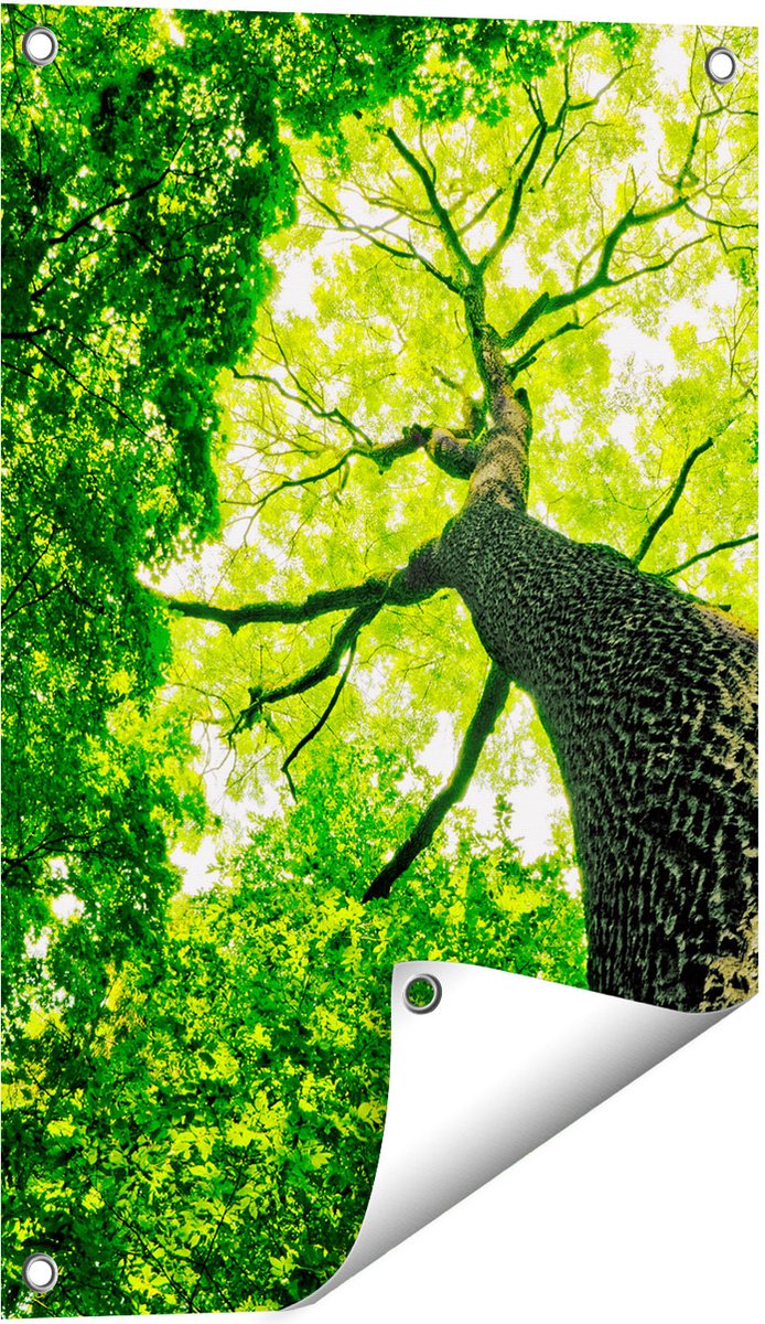 Gards Tuinposter Boom in het Bos met Fel Groene Bladeren - 40x60 cm - Tuindoek - Tuindecoratie - Wanddecoratie buiten - Tuinschilderij Multikleur