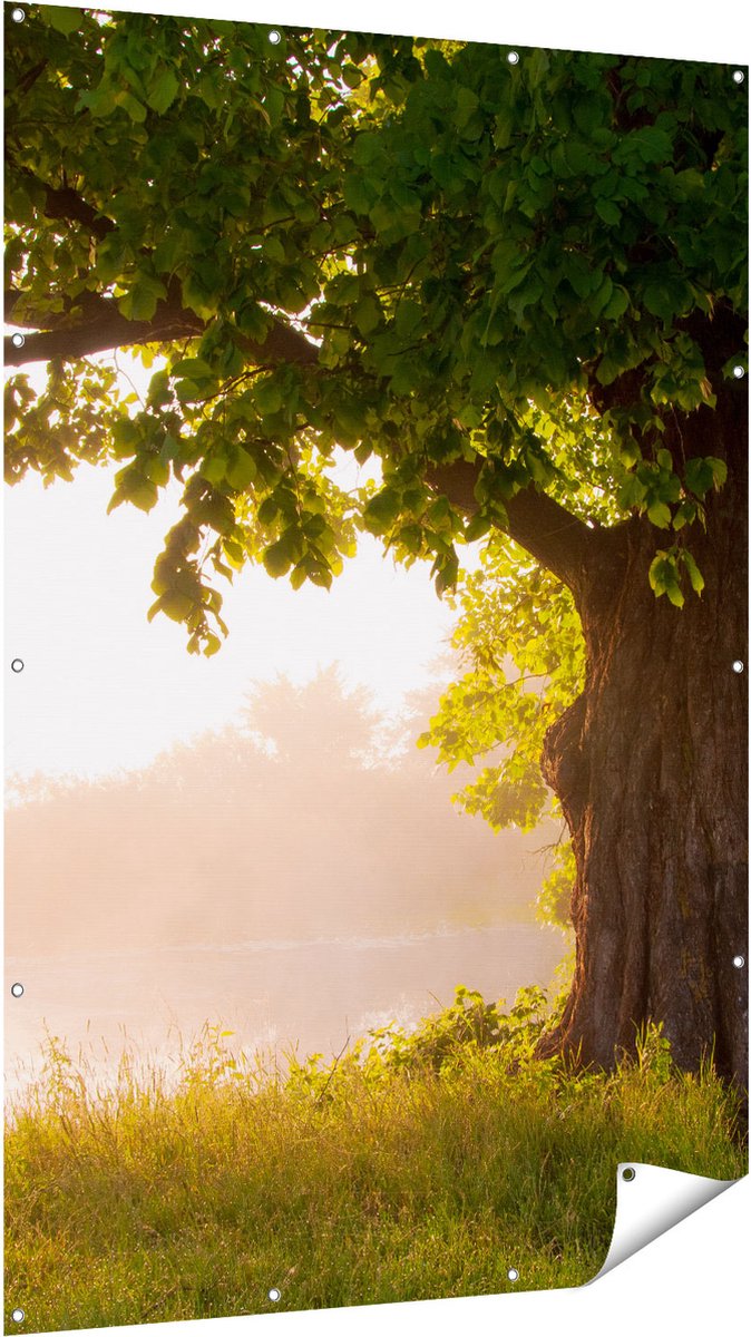 Gards Tuinposter Eikenboom aan het Water met Volle Bladeren - 120x180 cm - Tuindoek - Tuindecoratie - Wanddecoratie buiten - Tuinschilderij Multikleur