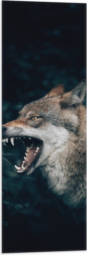 Vlag - Angstaanjagende Wolf met Scherpe Tanden in Donker Bos - 30x90 cm Foto op Polyester Vlag