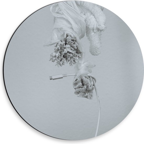Dibond Muurcirkel - Abstract Wit Paardenhoofd van Bloemen en Stekker tegen Witte Achtergrond - 30x30 cm Foto op Aluminium Muurcirkel (met ophangsysteem)