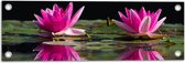 Tuinposter – Waterlelies op het Water - 60x20 cm Foto op Tuinposter (wanddecoratie voor buiten en binnen)