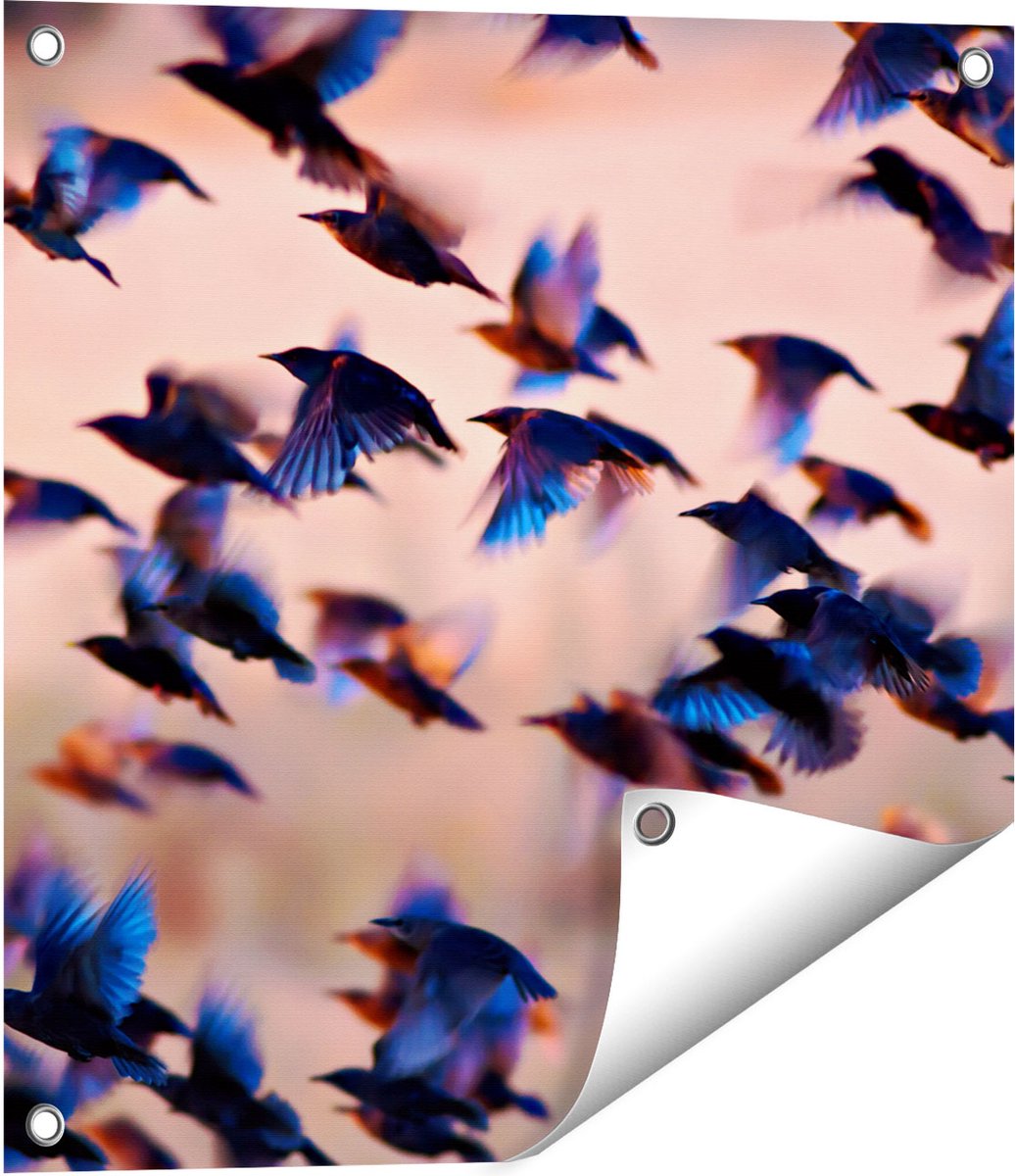 Gards Tuinposter Groep Vliegende Blauwe Spreeuw Vogels - 50x50 cm - Tuindoek - Tuindecoratie - Wanddecoratie buiten - Tuinschilderij Multikleur
