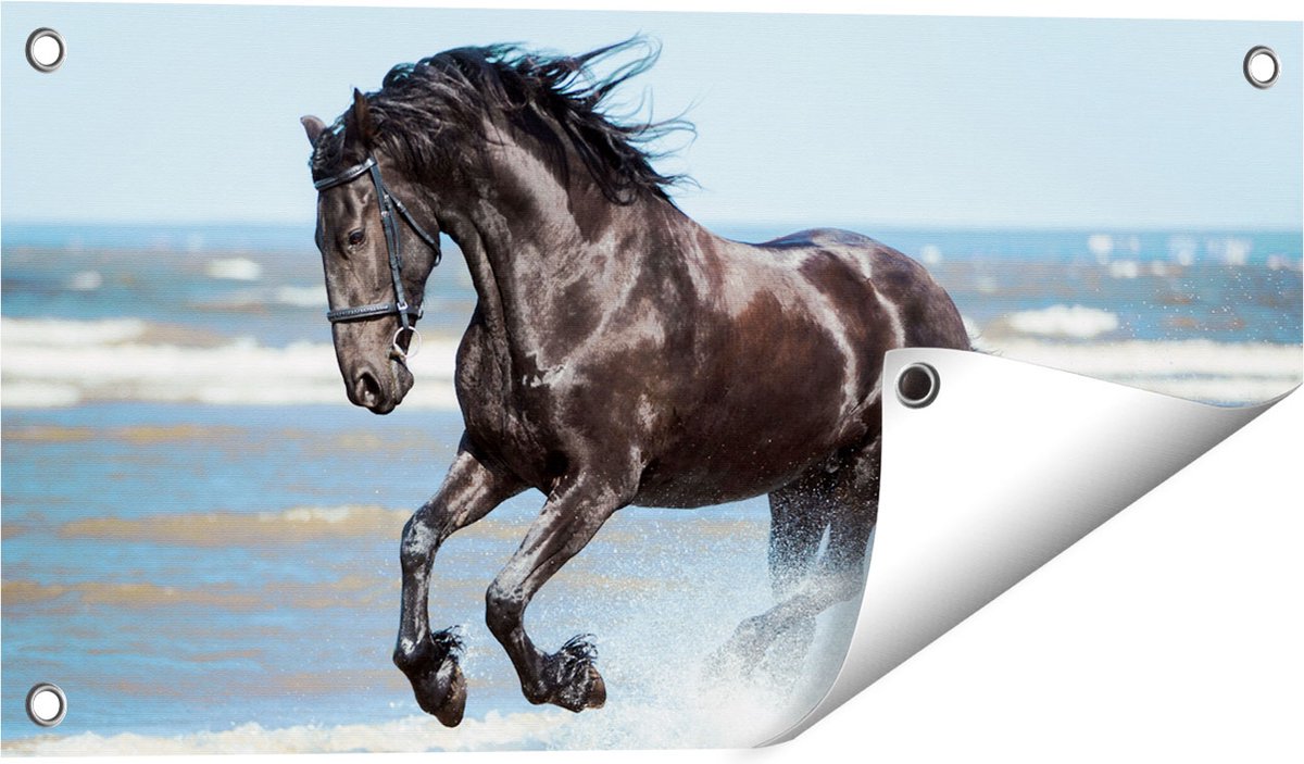 Gards Tuinposter Zwart Paard in het Water - 60x30 cm - Tuindoek - Tuindecoratie - Wanddecoratie buiten - Tuinschilderij Multikleur