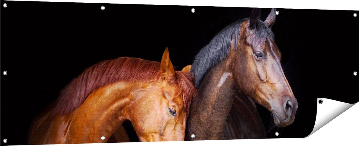 Gards Tuinposter Twee Bruine Paarden Koppel - Liefde - 180x60 cm - Tuindoek - Tuindecoratie - Wanddecoratie buiten - Tuinschilderij Multikleur