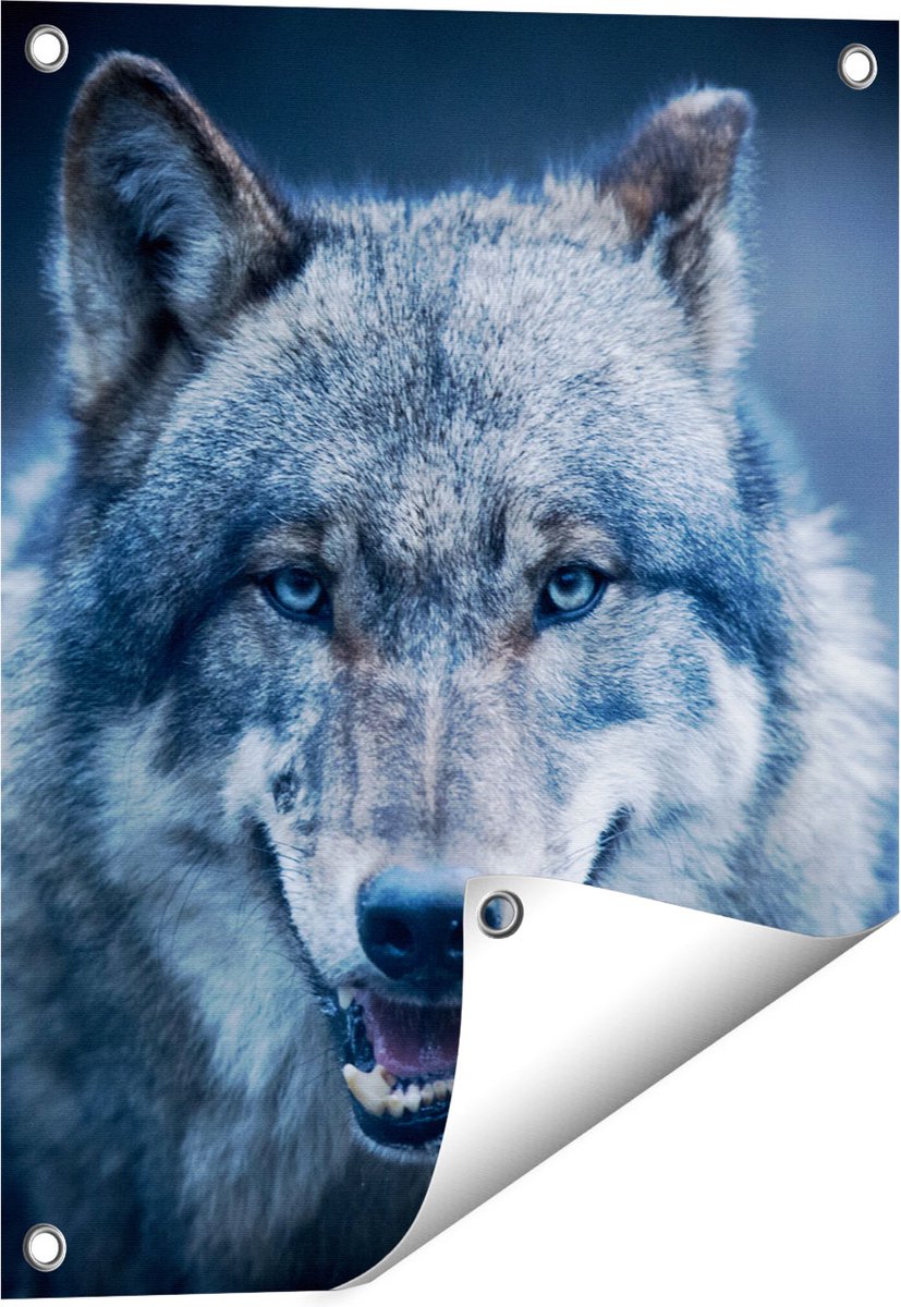 Gards Tuinposter Wolvenkop met Blauwe Ogen - Wolf - 40x50 cm - Tuindoek - Tuindecoratie - Wanddecoratie buiten - Tuinschilderij Multikleur