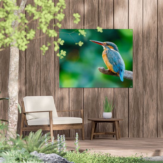 Affiche de jardin Gards Martin-pêcheur Blauw Oranje sur une branche - 100x80 cm - Toile de jardin - Décoration de jardin - Décoration murale extérieur - Tableau de jardin
