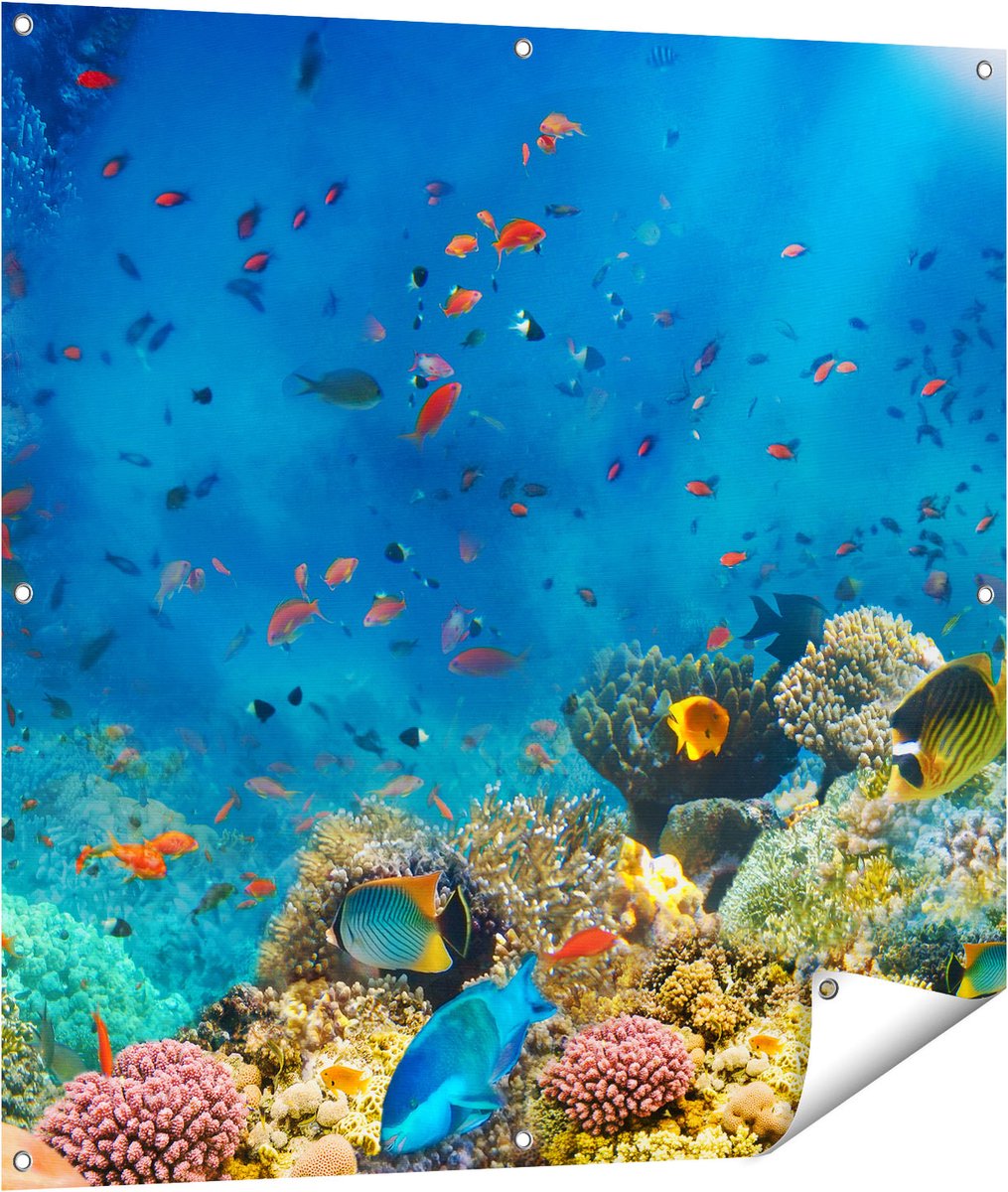 Gards Tuinposter Onderwater Vissen met Koraal in de Zee - 100x100 cm - Tuindoek - Tuindecoratie - Wanddecoratie buiten - Tuinschilderij Multikleur