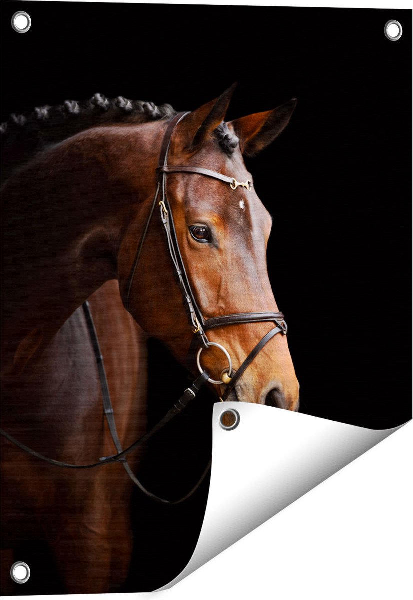 Gards Tuinposter Bruin Paard op een Zwart Achtergrond - 40x50 cm - Tuindoek - Tuindecoratie - Wanddecoratie buiten - Tuinschilderij Multikleur