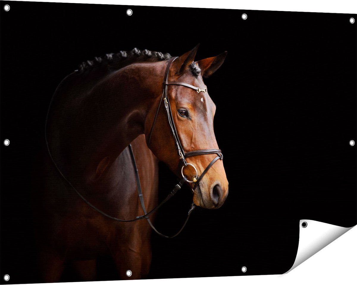 Gards Tuinposter Bruin Paard op een Zwart Achtergrond - 120x80 cm - Tuindoek - Tuindecoratie - Wanddecoratie buiten - Tuinschilderij Multikleur