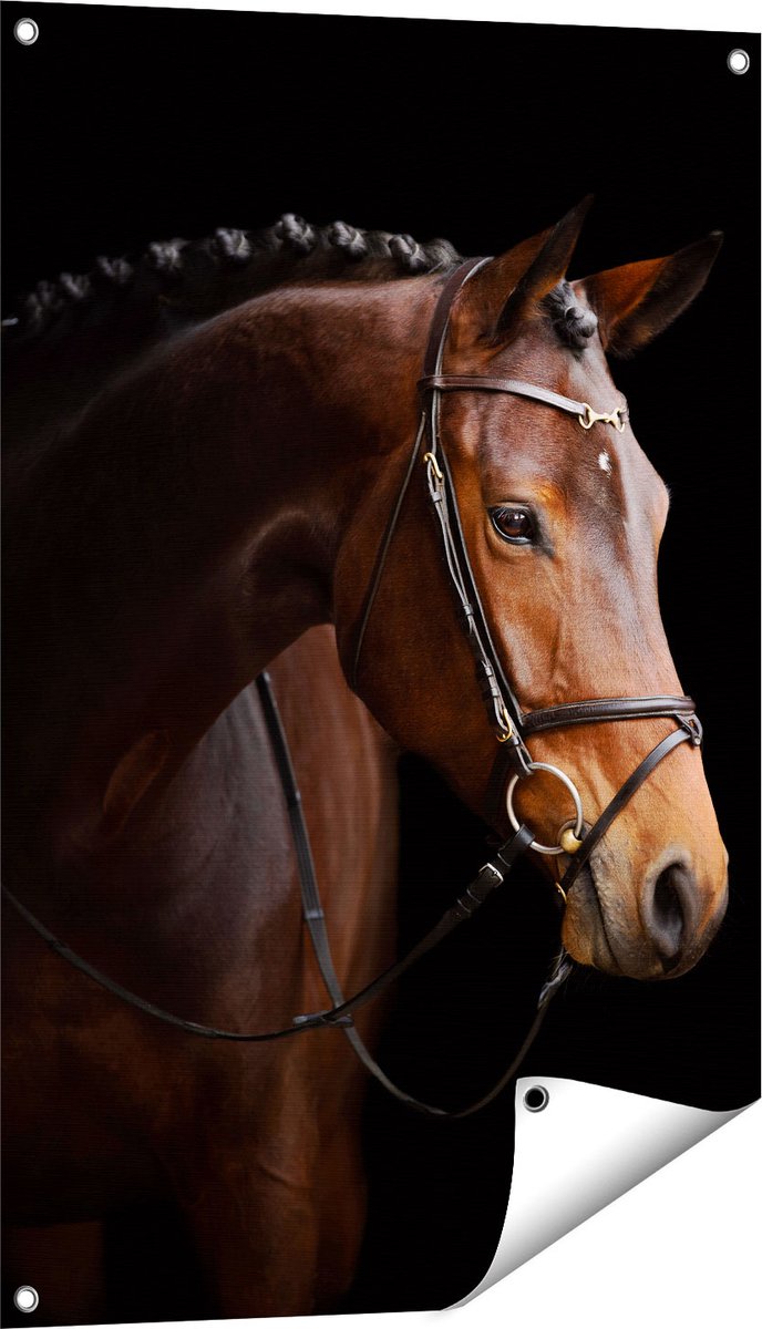 Gards Tuinposter Bruin Paard op een Zwart Achtergrond - 60x90 cm - Tuindoek - Tuindecoratie - Wanddecoratie buiten - Tuinschilderij Multikleur