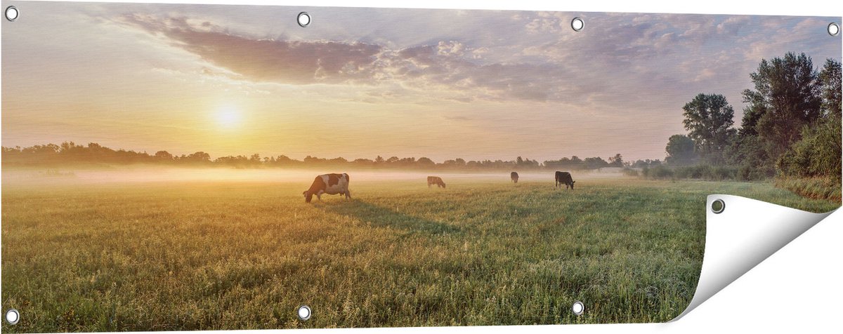 Gards Tuinposter Koeien in de Wei tijdens Zonsopkomst - 120x40 cm - Tuindoek - Tuindecoratie - Wanddecoratie buiten - Tuinschilderij Multikleur