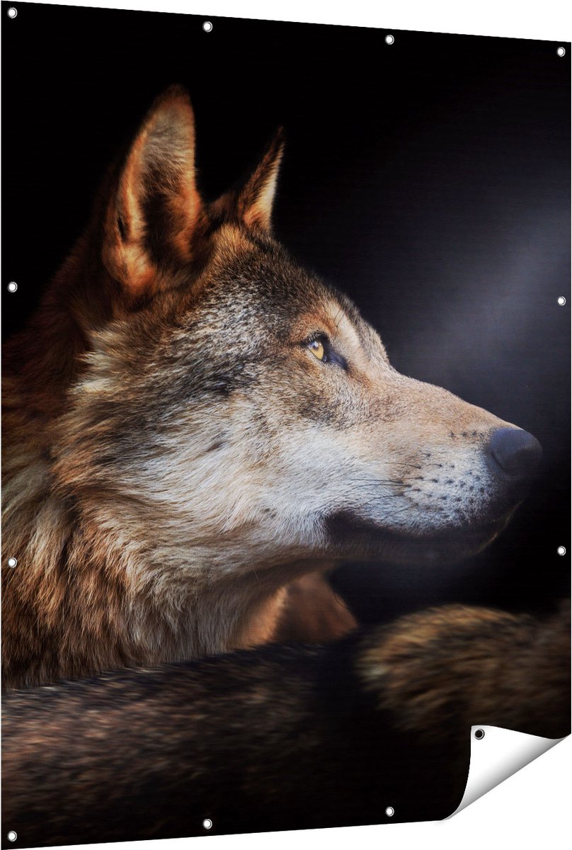 Gards Tuinposter Wolvenkop Met Een Zonnestraal Wolf 120x150 Cm gards-tuinposter-wolvenkop-met-een-zonnestraal-wolf-120x150-cm