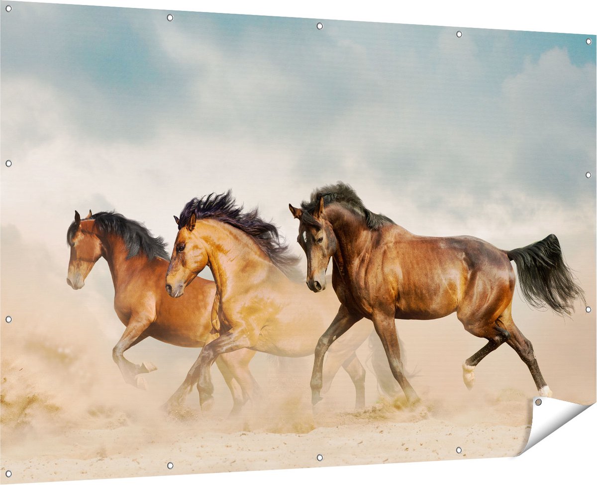 Gards Tuinposter Drie Bruine Paarden - 180x120 cm - Tuindoek - Tuindecoratie - Wanddecoratie buiten - Tuinschilderij Multikleur