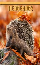 Hedgehogs: The Essential Guide to This Amazing Animal with Amazing Photos