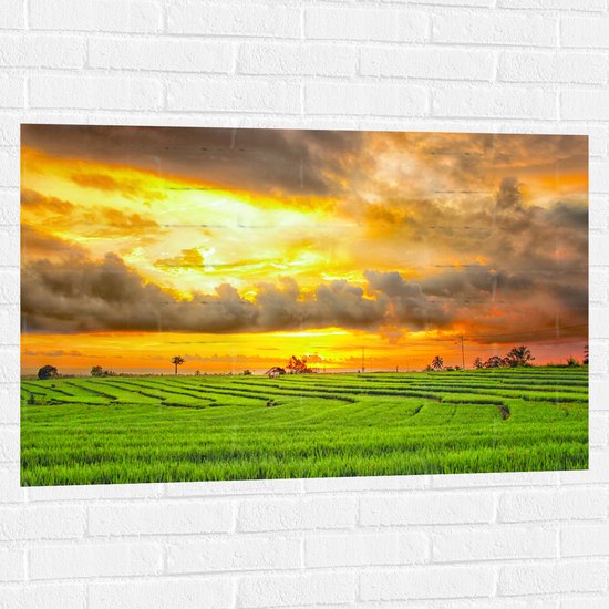 Muursticker - Feloranje Lucht Vol Wolken boven Rijstvelden van Indonesië - 105x70 cm Foto op Muursticker