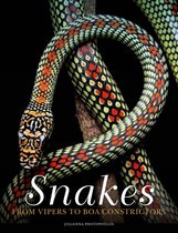 Animals- Snakes