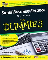 Small Busi Finance All-In-One For Dummie
