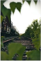 Poster Glanzend – Begroeiing over het Spoor - 60x90 cm Foto op Posterpapier met Glanzende Afwerking