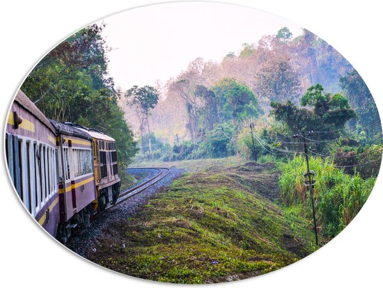 WallClassics - Panneau ovale en mousse PVC – Train thaïlandais à travers la réserve naturelle verte en Thaïlande – 68 x 51 cm Photo sur ovale (avec système de suspension)