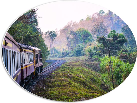 WallClassics - PVC Schuimplaat Ovaal - Thaise Trein door Groen Natuurgebied in Thailand - 56x42 cm Foto op Ovaal (Met Ophangsysteem)