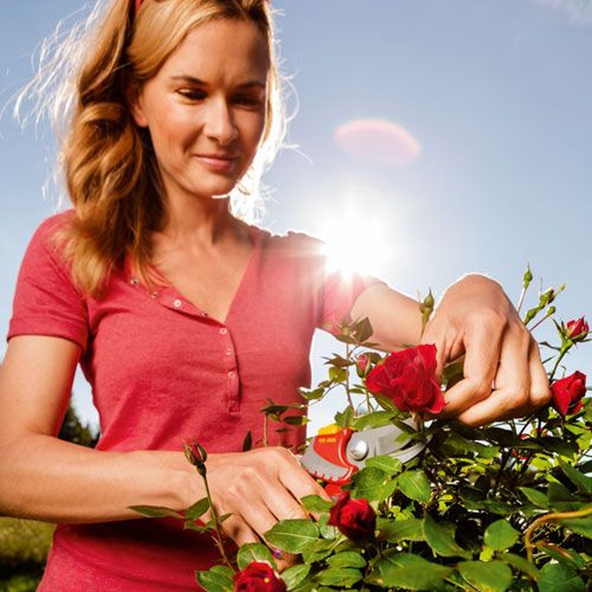 WOLF-Garten Premium Plus RR 4000 epv-b02