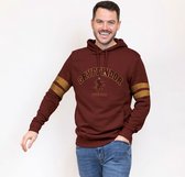 Sweat à capuche Homme Harry Potter Rouge