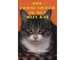 Hoe communiceer ik met mijn kat Image
