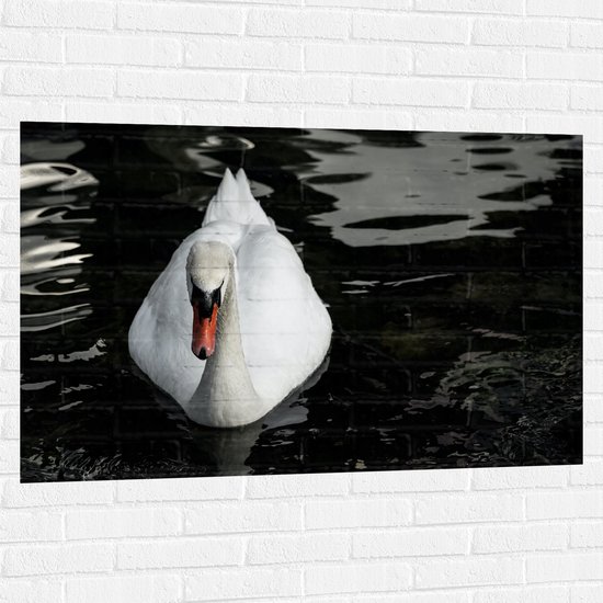 Muursticker - Witte Eenzame Zwaan Dobberne d op het Water - 120x80 cm Foto op Muursticker