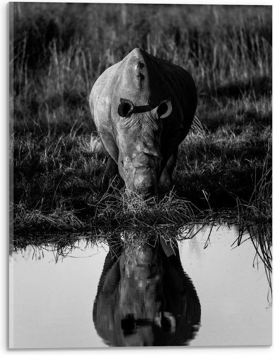 Acrylglas - Vooraanzicht van Neushoorn drinkend uit Meer met Weerspiegeling (Zwart- wit) - 30x40 cm Foto op Acrylglas (Wanddecoratie op Acrylaat)